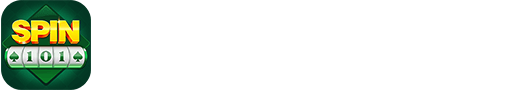 Spin101 logo